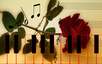 Music is my life (1)