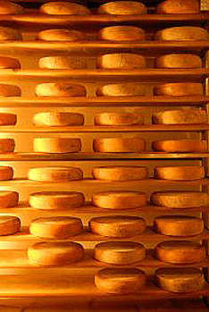 Käse