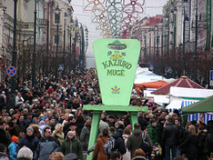 Kasjukas