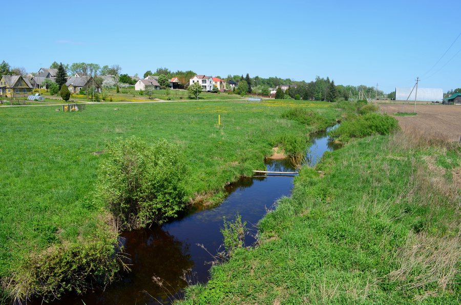 File:Mūšia Taujėnuose.JPG