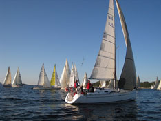 The Tall Ships' Races 2009